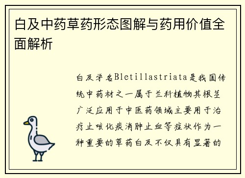 白及中药草药形态图解与药用价值全面解析